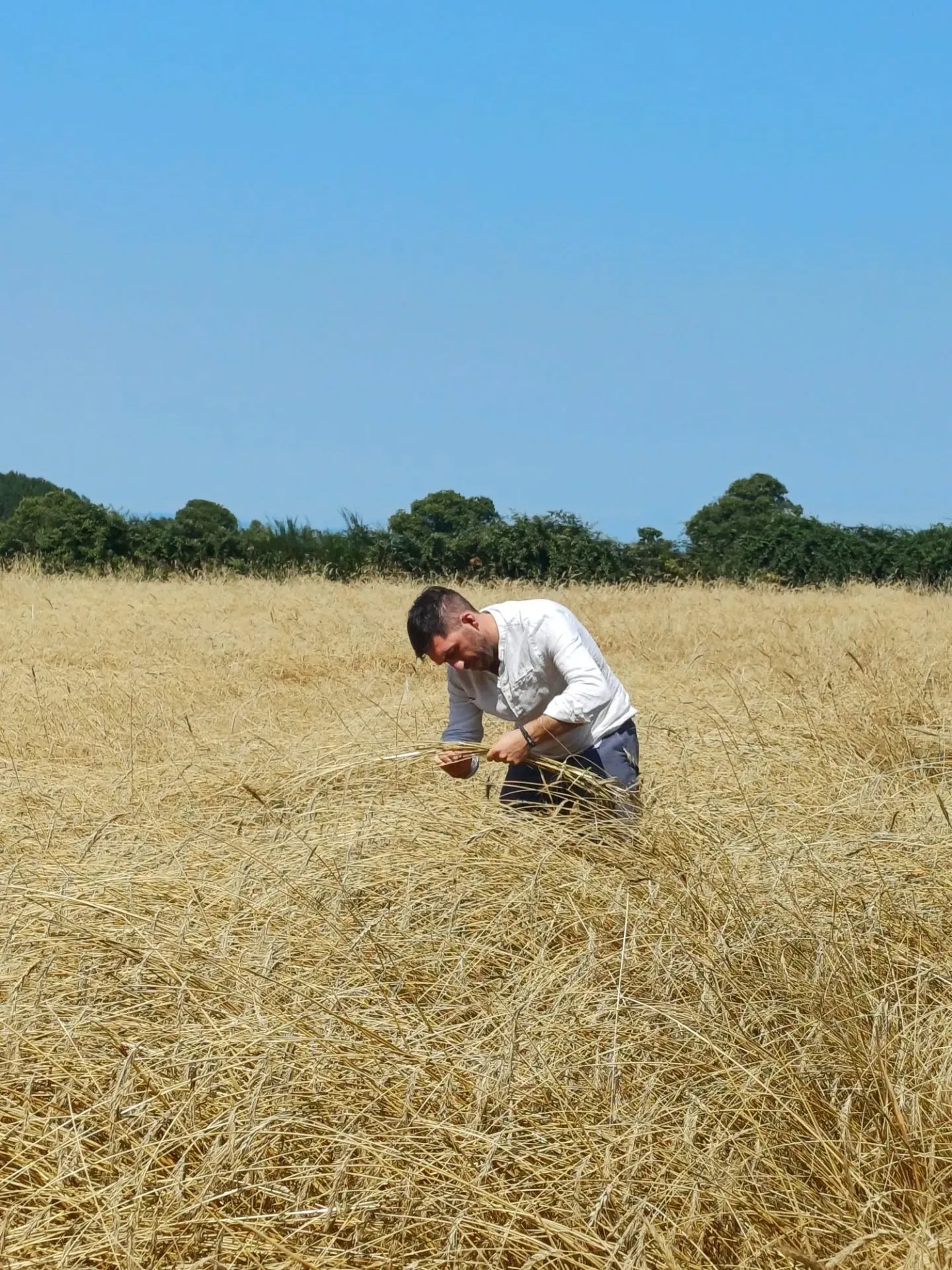 Agricoltore al lavoro in un campo di grano